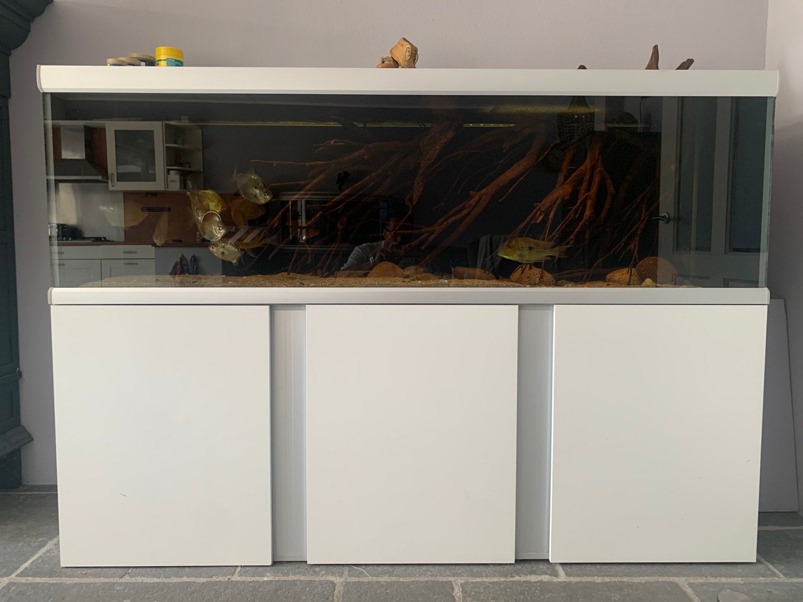 Aquarium Akvastabil Fusion 200, Dieren en Toebehoren, Ophalen of Verzenden, Zo goed als nieuw, Gevuld zoetwateraquarium