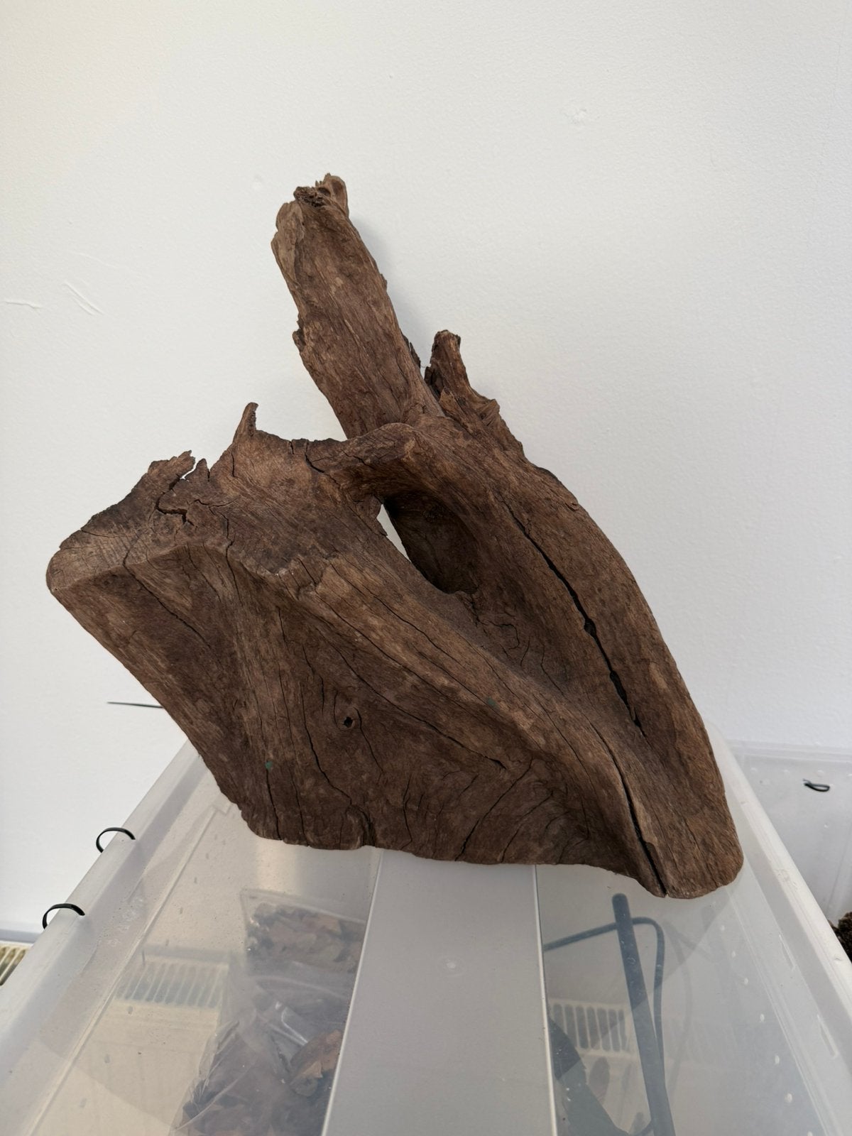 Drijfhout, driftwood 3pcs, Ophalen, Zo goed als nieuw, Plant(en), Steen of Hout