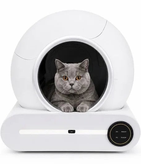 Elektrische kattenbak wit | niet vaak gebruikt 🐱, Dieren en Toebehoren, Kattenbakken, Ophalen, Zo goed als nieuw