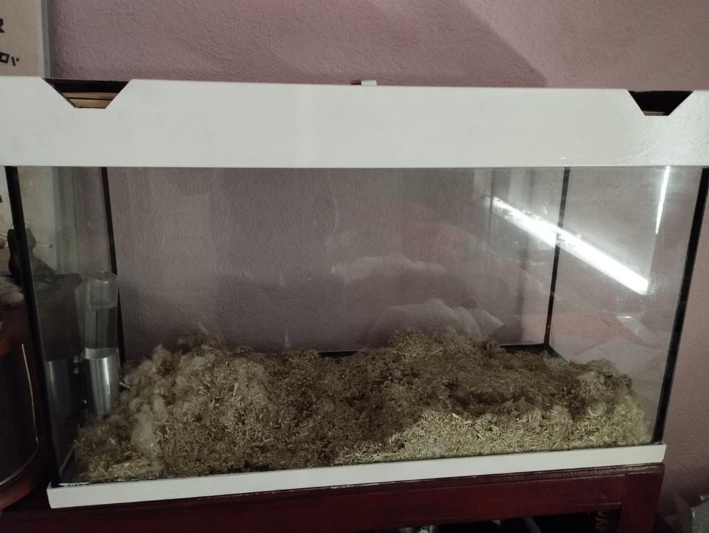 Terrarium gemaakt van een aquarium, Kooi, Muis, 75 tot 110 cm, Ophalen
