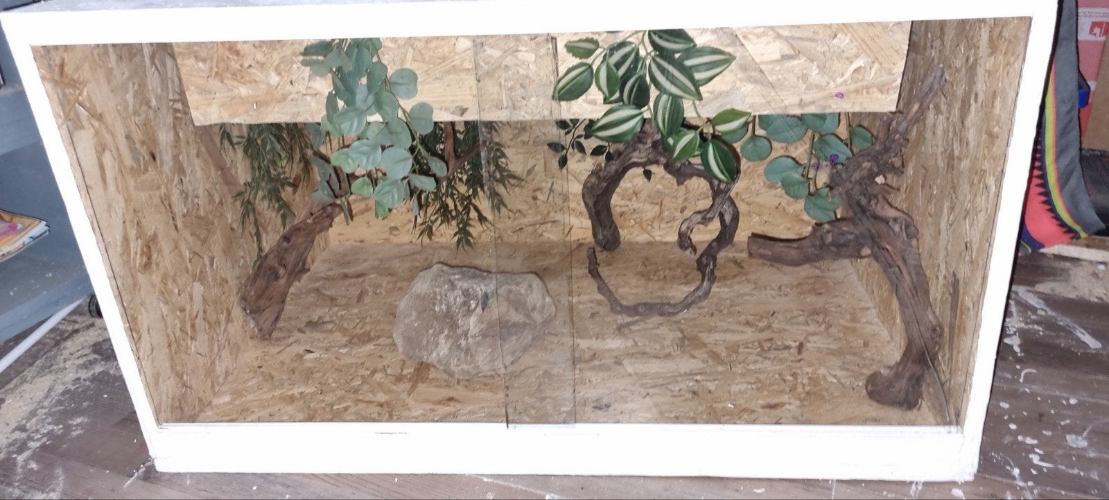 terrarium 95x61x54, Dieren en Toebehoren, Ophalen of Verzenden