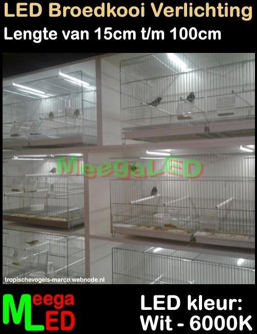 LED verlichting SET 10x 15cm NL502 kweekkooi broedkooi, Dieren en Toebehoren, Vogels | Hokken en Kooien, Ophalen of Verzenden