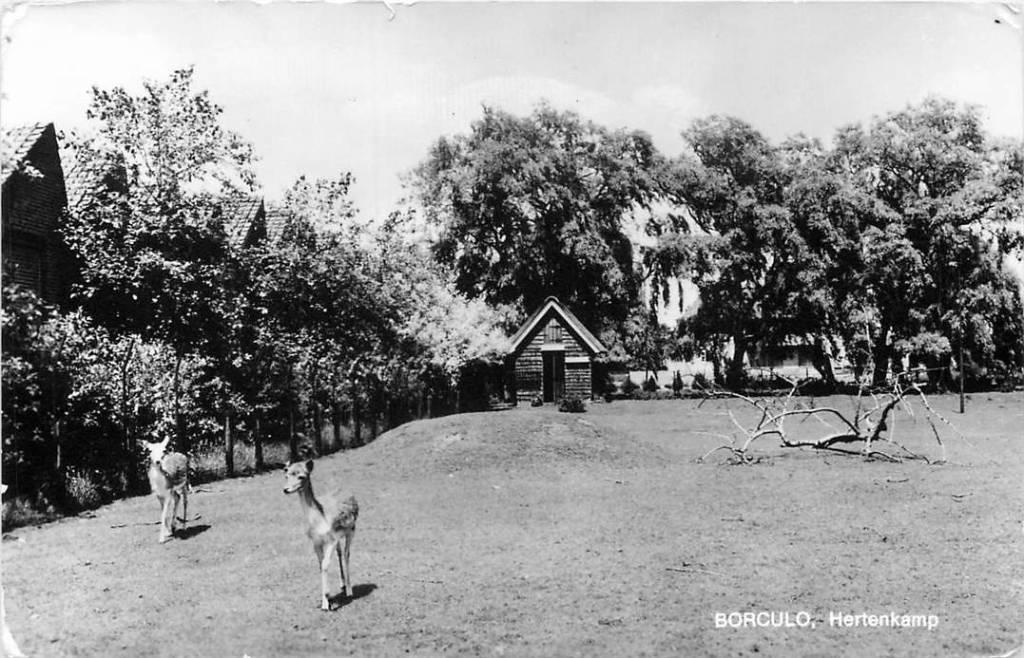 381-192-031 Borculo Hertenkamp, Verzamelen, Ansichtkaarten | Nederland, Verzenden, Voor 1920, Gelderland