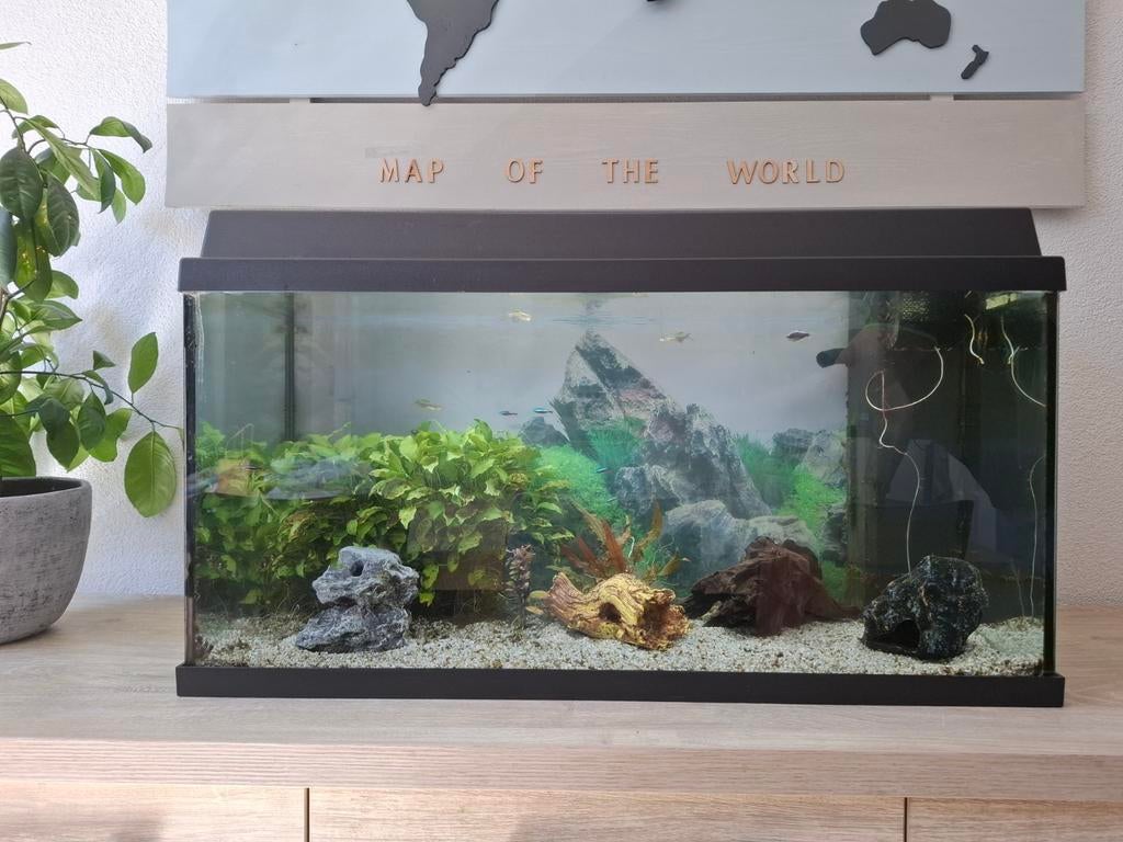Juwel Primo 110 met accessoires., Dieren en Toebehoren, Ophalen, Leeg aquarium
