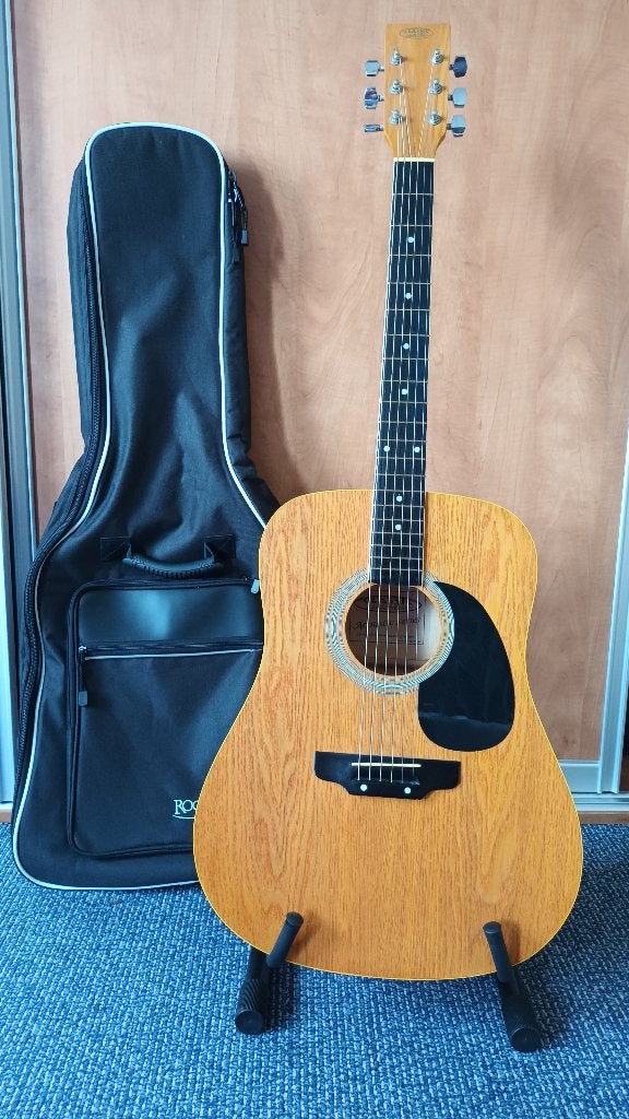Akoestische  gitaar  tas standaard, Ophalen, Zo goed als nieuw, Klassieke of Spaanse gitaar, Met koffer