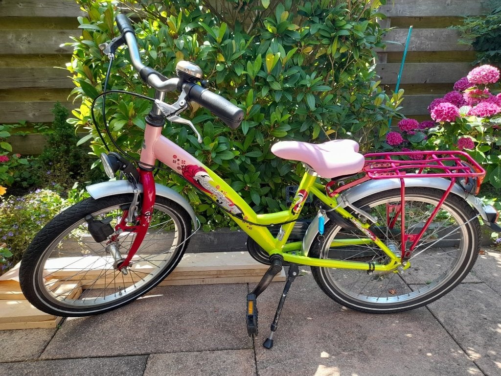 Pegasus meisjesfiets 20 inch, Ophalen, Gebruikt, 20 inch, Handrem