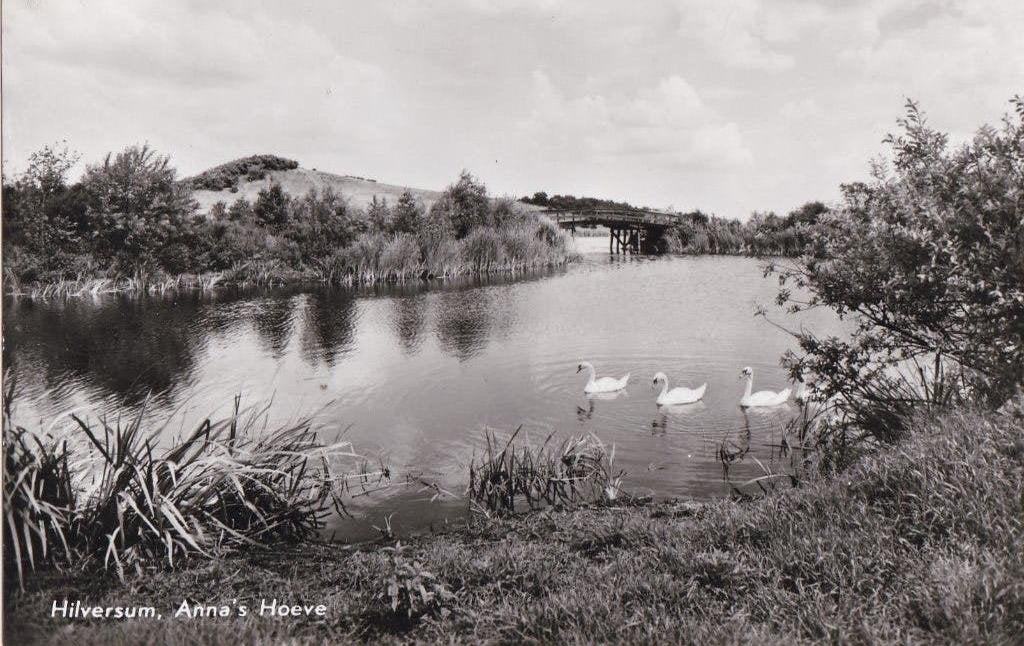 hilversum vituskerk/groeten uit meerluik/anna s hoeve zwanen, Ophalen of Verzenden, Voor 1920, Noord-Brabant