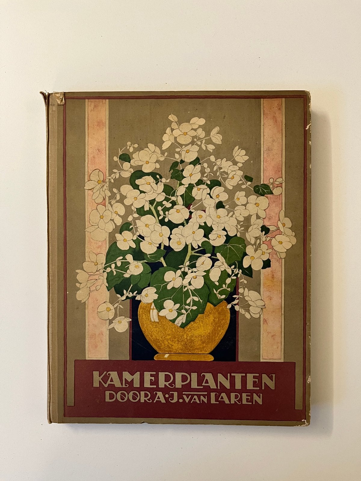 Verkade Album Kamerplanten door A.J. van Laren (1928), Antiek en Kunst, Ophalen of Verzenden