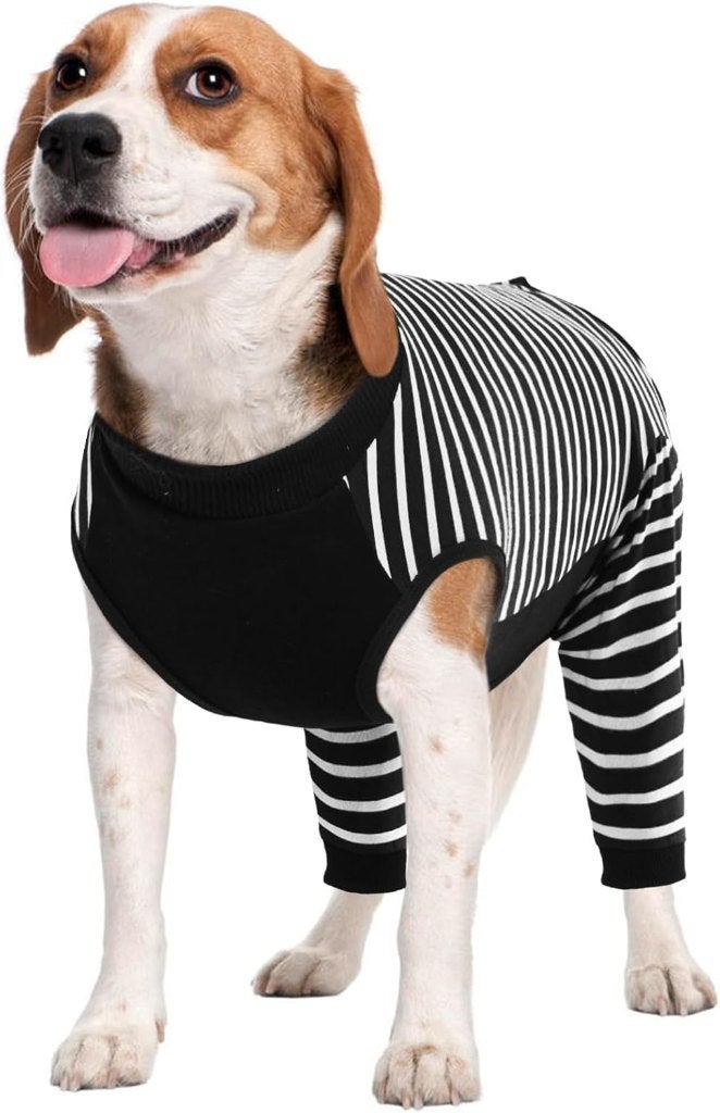 Kuoser Herstelpak voor honden maat L, Dieren en Toebehoren, Overige merken, Ophalen of Verzenden, Nieuw, Overige typen