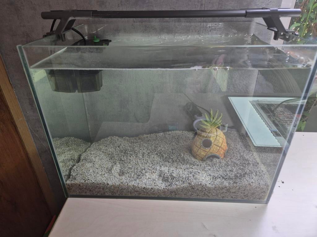 Vis Aquarium met lamp en filter, Ophalen of Verzenden, Leeg aquarium