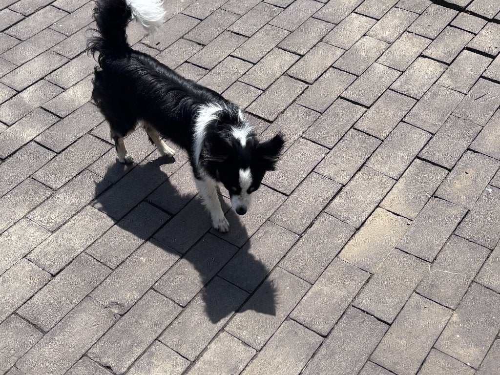 60m2 klei klinkers, Tuin en Terras, Tegels en Klinkers, Ophalen, Gebruikt, Keramiek, Klinkers