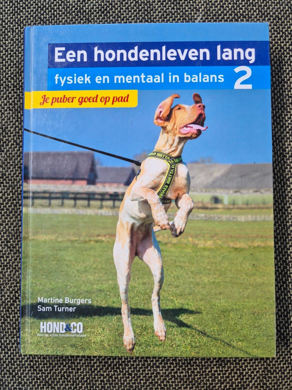 Boek: Een hondenleven lang - Je puber goed op pad (deel 2), Gelezen, Martine Burgers, Sam Turner, Honden, Ophalen of Verzenden