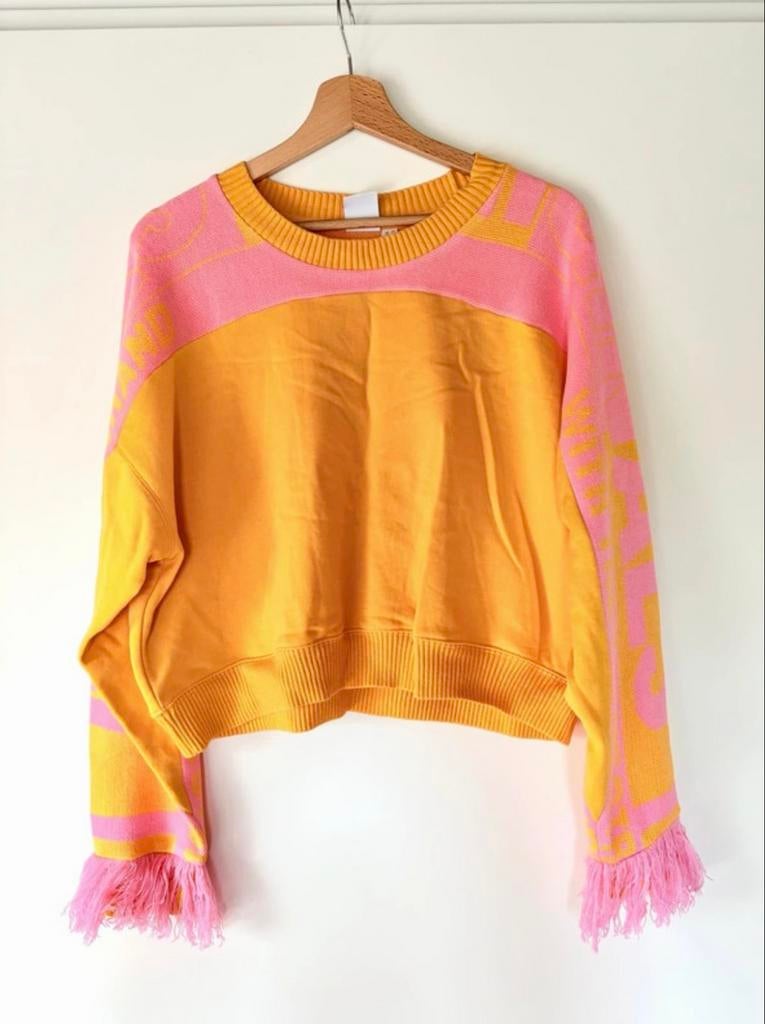 Trendy Adidas sweater XL - Uniek design met franjes, Ophalen of Verzenden, Zo goed als nieuw, Maat 42/44 (L), Roze