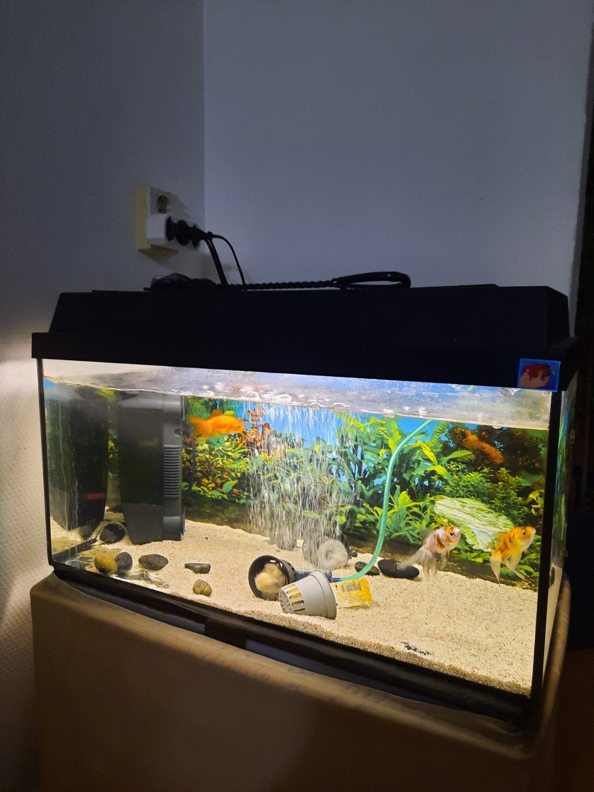 vis tank.60x30 cm, Ophalen, Zo goed als nieuw