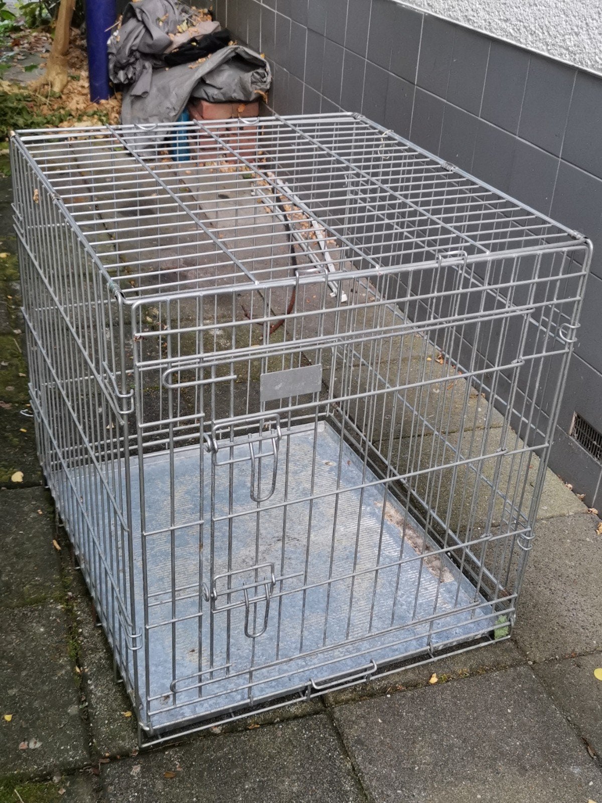 Hete nachten & stalen discipline de ultieme honden bench, Dieren en Toebehoren, Hondenhokken, Zo goed als nieuw, Hondenhok, Minder dan 65 cm