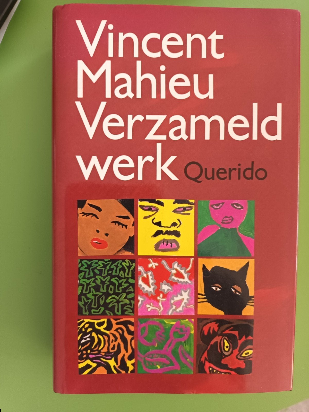 Vincent Mahieu - Verzameld Werk (Gebonden Uitgave), Ophalen of Verzenden, Zo goed als nieuw, Vincent Mahieu, Nederland