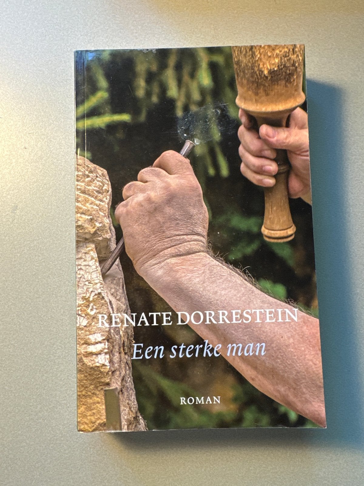 Renate Dorrestein - Een sterke man (Roman), Ophalen of Verzenden, Gelezen
