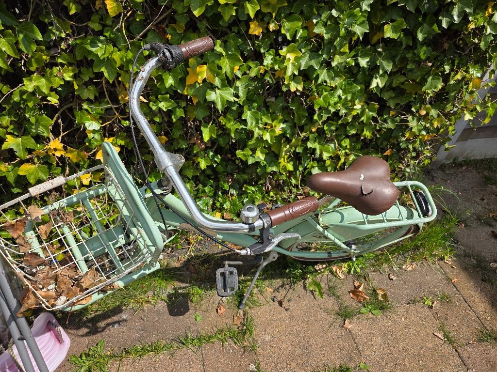 Kinderfiets, Fietsen en Brommers, Fietsen | Meisjes, Ophalen, Gebruikt, 20 inch