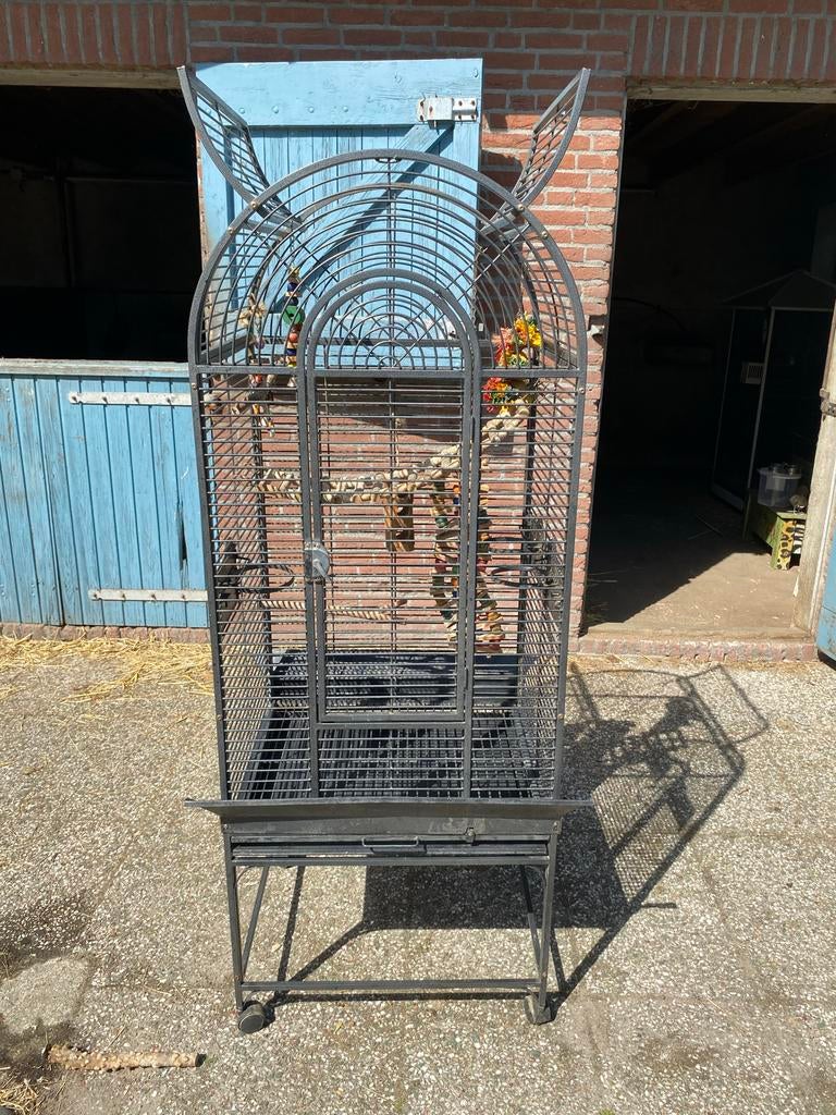 Parkiet / papegaai kooi, Ophalen, Gebruikt, Metaal, Vogelkooi