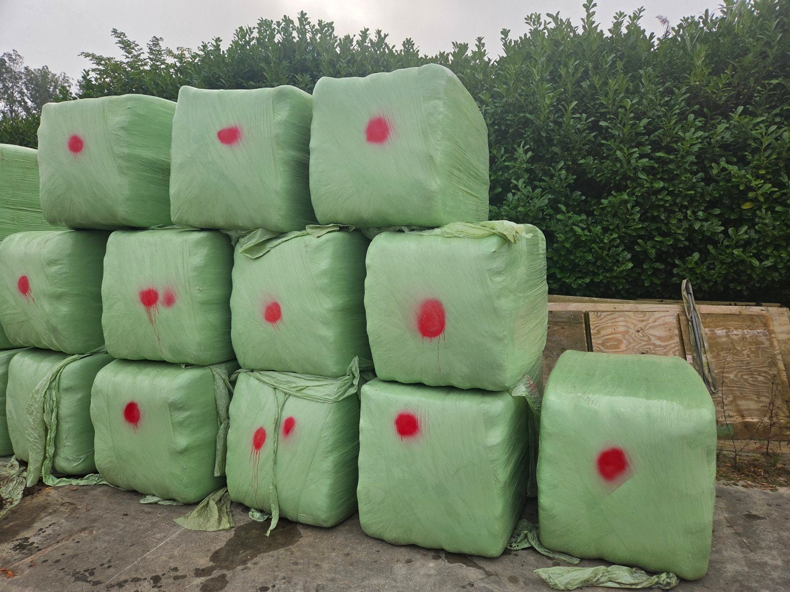 11 grote folie pakken hooi gras, Dieren en Toebehoren