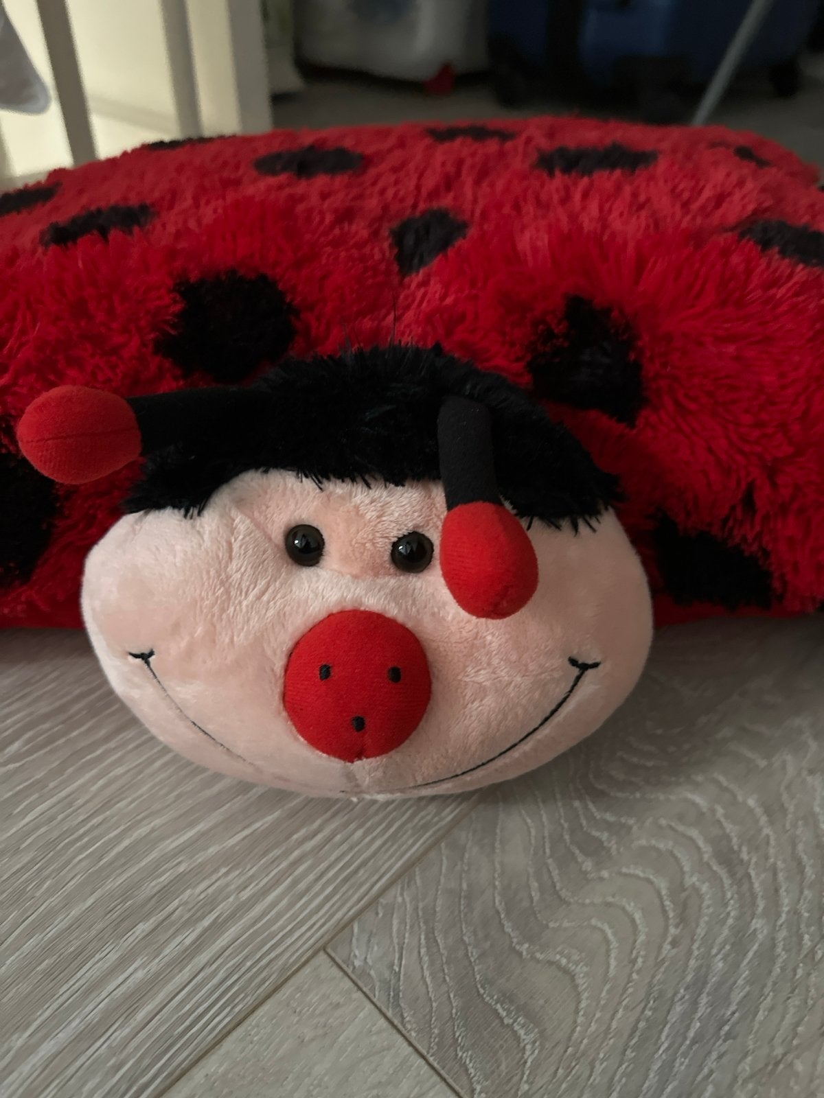 Lieveheersbeestje knuffelkussen van Swizzels, Ophalen, Overige merken, Overige karakters, Overige typen