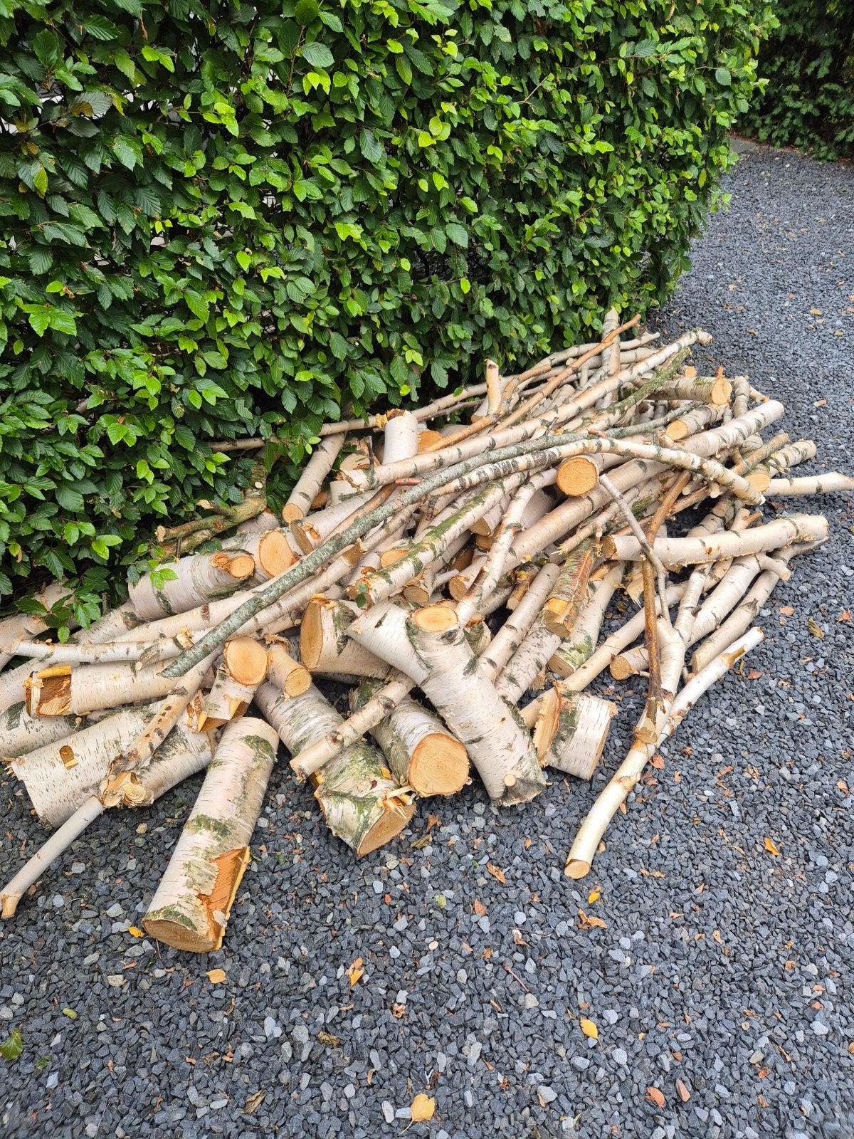 mooie partij droog berkenhout minimaal 2 m3, Minder dan 3 m³, Ophalen, Berkenhout