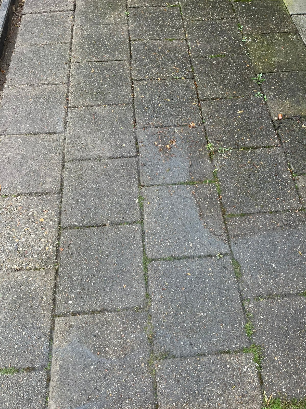 100 stoep tegels 30x30 cm inclusief ongeveer 10 halve, Ophalen, Zo goed als nieuw, Beton, Terrastegels