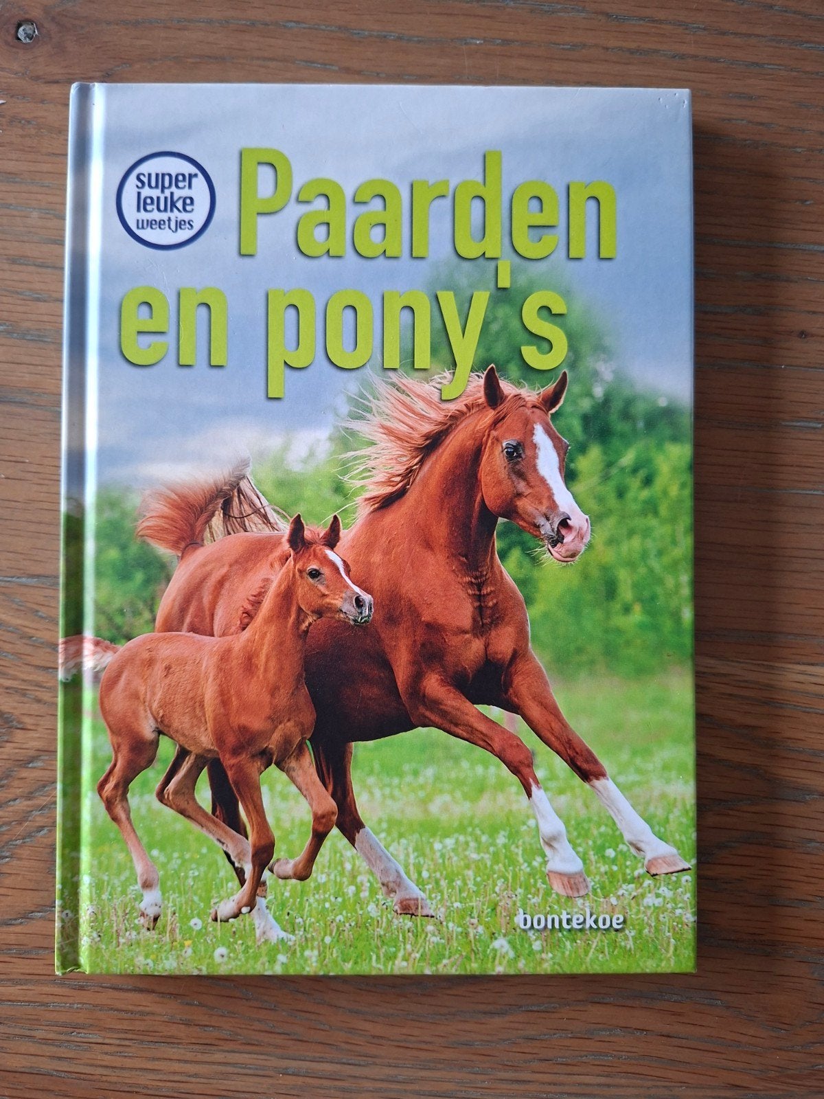 Christina Braun - Superleuke weetjes over paarden en pony’s, Christina Braun, Non-fictie, Ophalen of Verzenden, Zo goed als nieuw