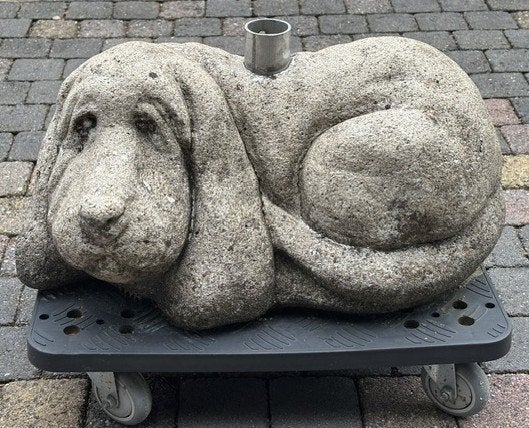Parasolhond (beton/steen) zeer zwaar - goed, Tuin en Terras, Ophalen, Gebruikt, Minder dan 1 meter, Parasolvoet