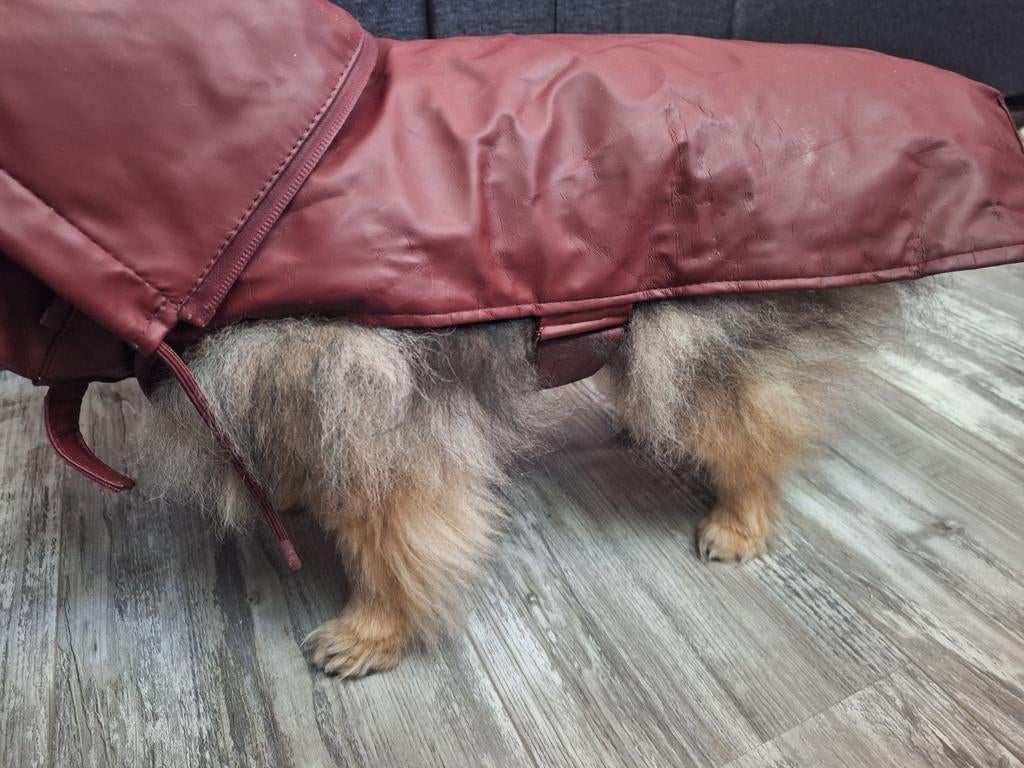Feribiella regenjas hond met afneembare capuchon, Dieren en Toebehoren, Ophalen of Verzenden, Hondenregenjas