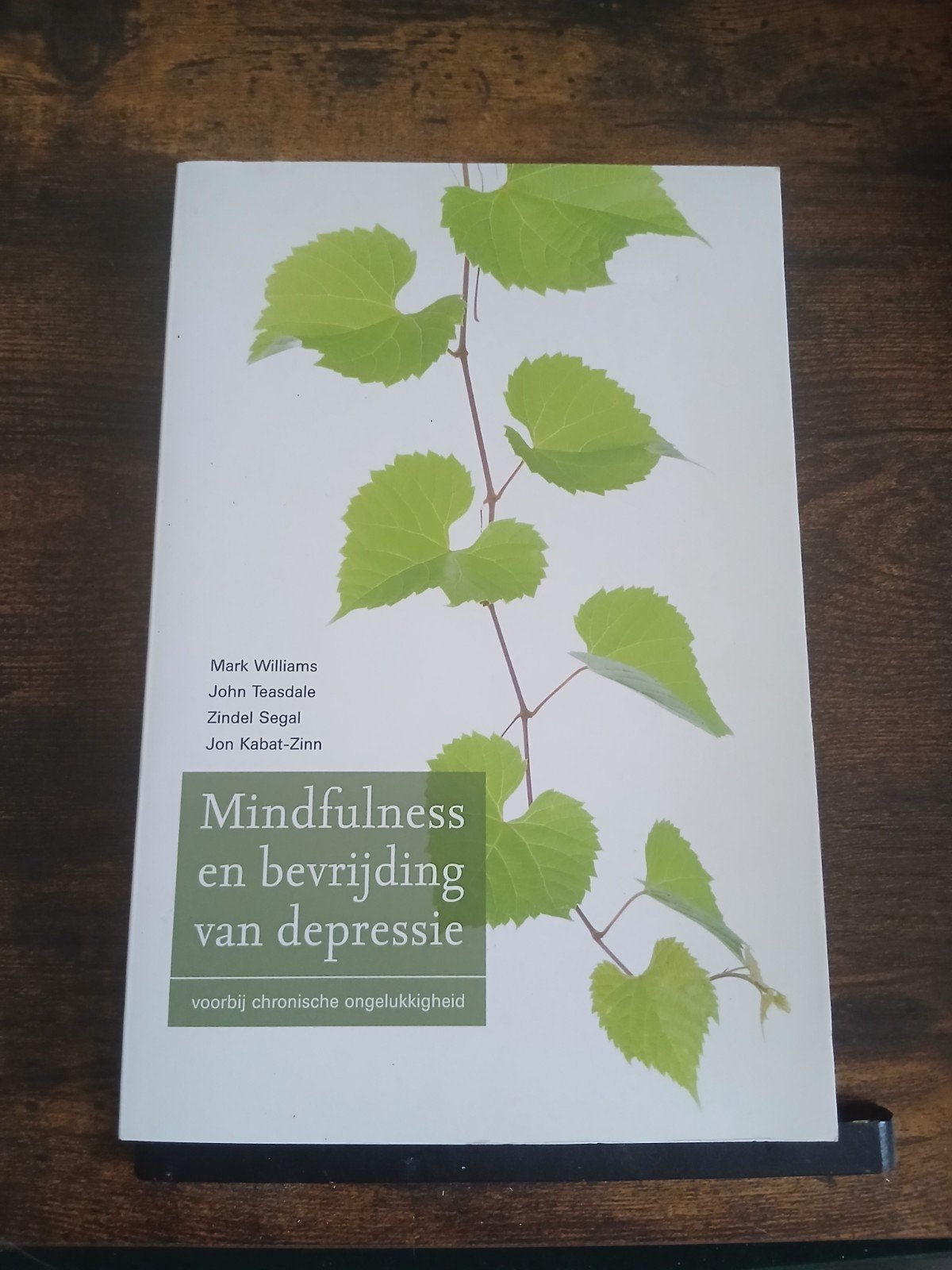 Mindfulness en bevrijding van depressie, Boeken, Ophalen of Verzenden, Zo goed als nieuw