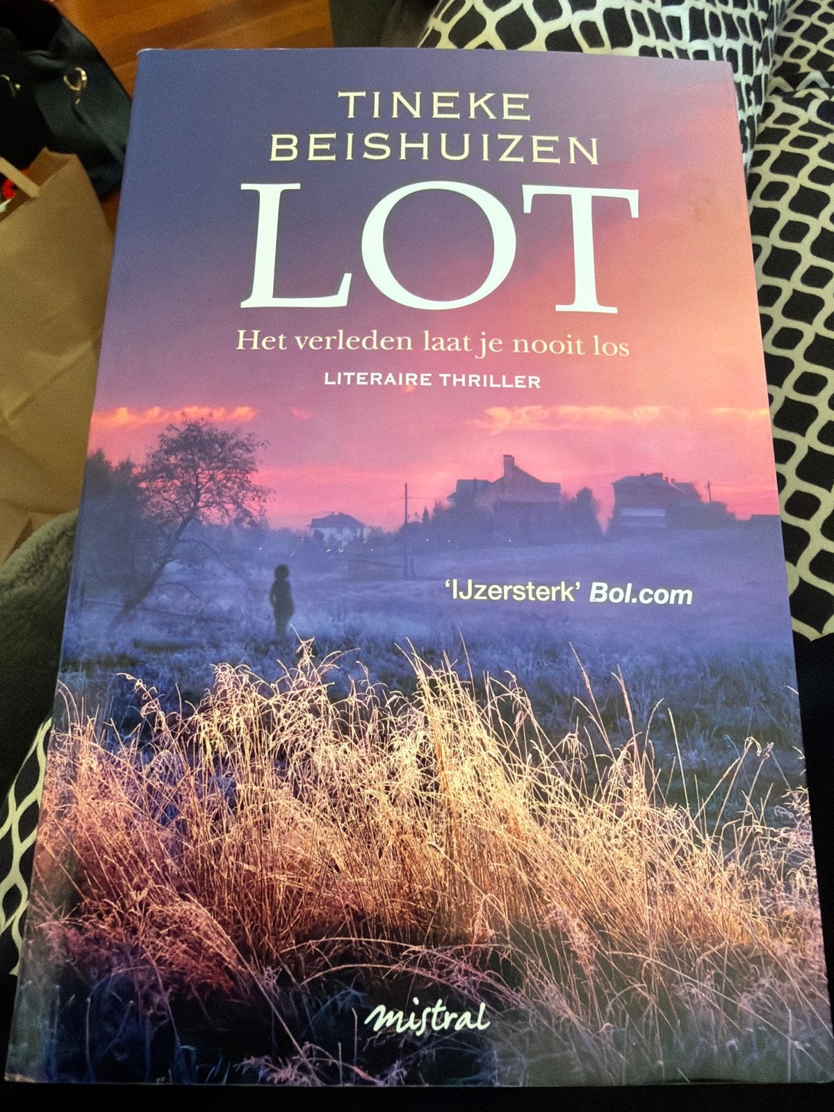 HKL.  Tineke Beishuizen - Lot, Ophalen of Verzenden, Zo goed als nieuw, Tineke Beishuizen
