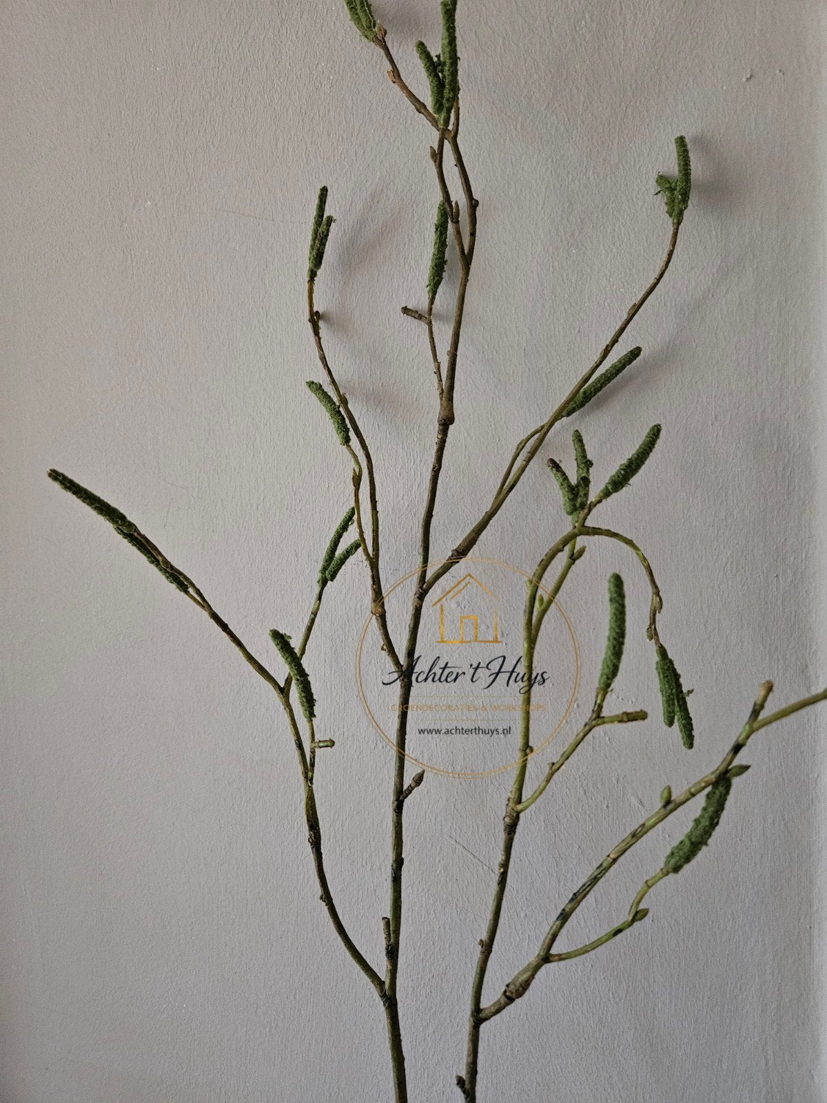 Kunst Berkentak - berk - tak - voorjaar  - zomer, Groen, Nieuw, Ophalen of Verzenden, Binnen