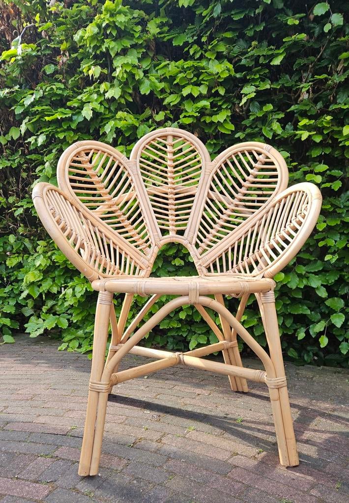 Vintage rotan bloemstoel - uniek design, Ophalen