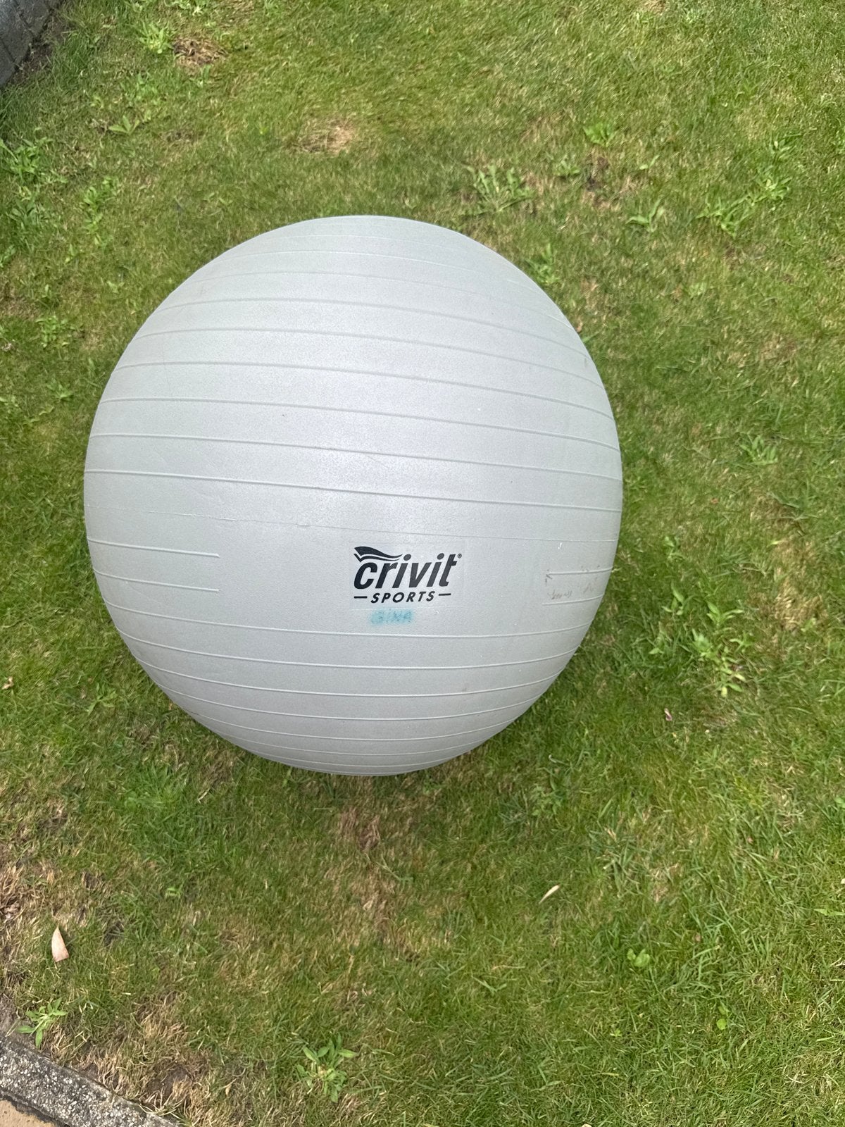 Crivit Sports Fitnessbal - Grijs, 65 cm, Ophalen, Zo goed als nieuw, Buik, Fitnessbal