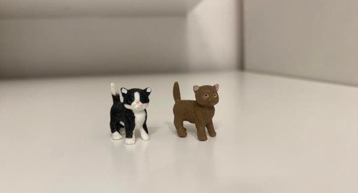 Schleich Kittens ( 13 ), Ophalen of Verzenden, Zo goed als nieuw, Hond of Kat, Beeldje of Figuurtje