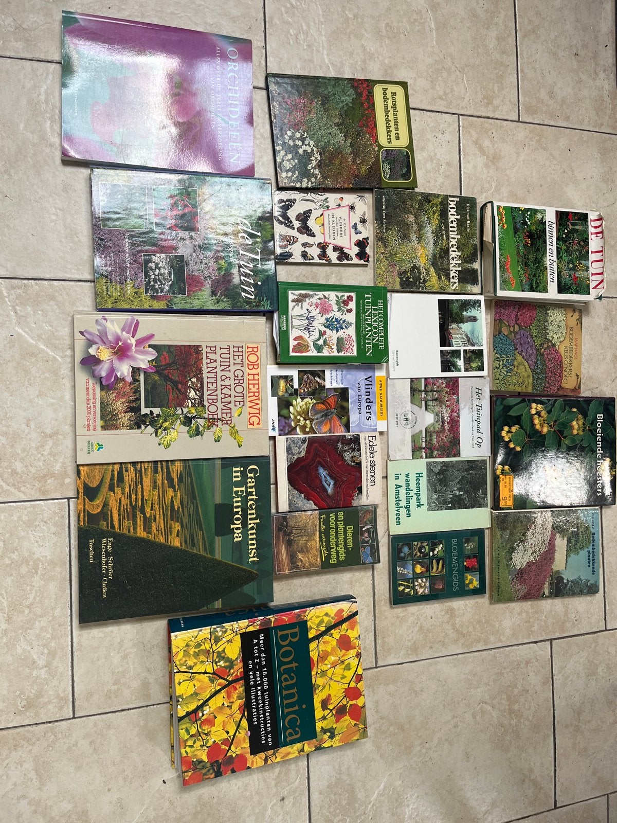 Planten- en bomenboeken: verzorging, tuinieren, design, Ophalen of Verzenden, Gelezen, Bloemschikken, Groendecoratie