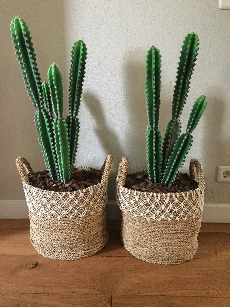 Set van 2 kunstcactussen in rieten manden, Ophalen, Binnen, Groen, Kunstplant