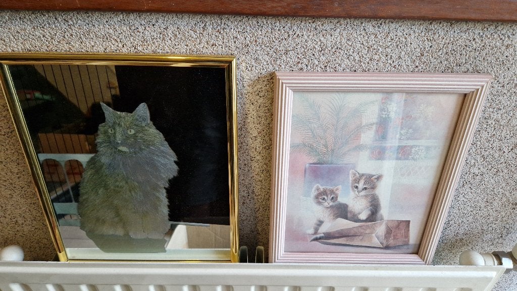 2 poezen schilderijen, Ophalen of Verzenden, Zo goed als nieuw, Decoratieobject