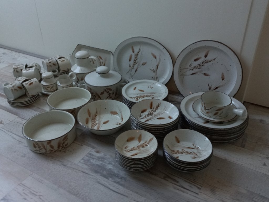 compleet servies stonehenge wild oats, Huis en Inrichting, Keuken | Servies, Ophalen, Zo goed als nieuw, Overige stijlen, Compleet servies