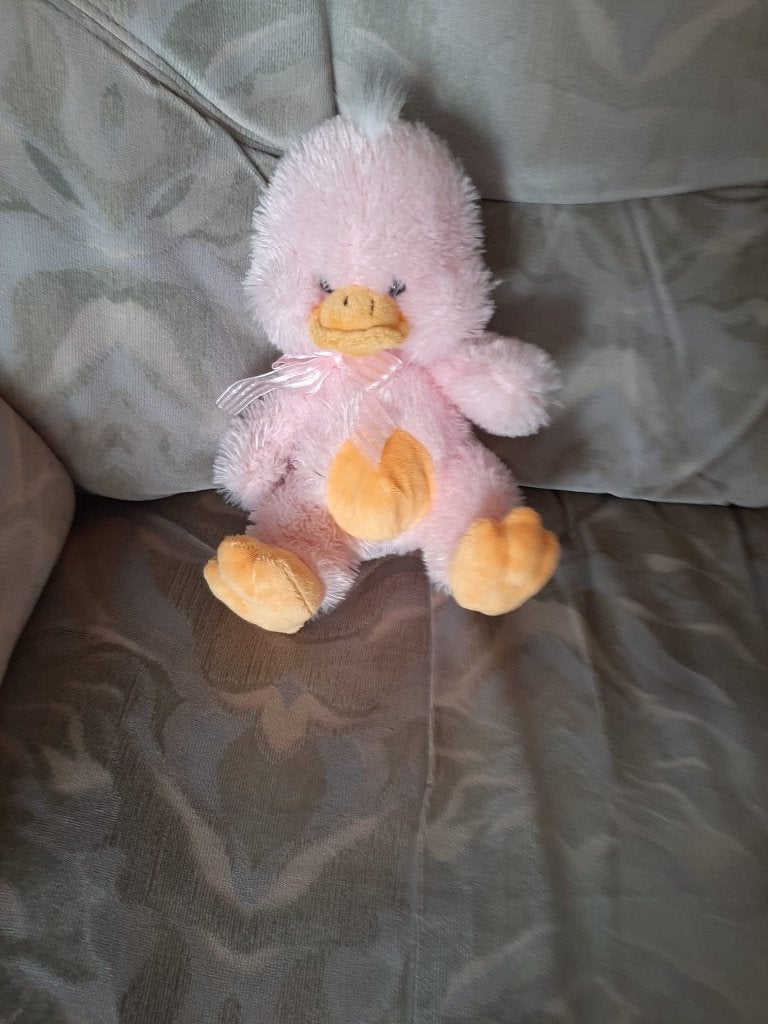 roze knuffel eend, Ophalen of Verzenden, Nieuw, Eend