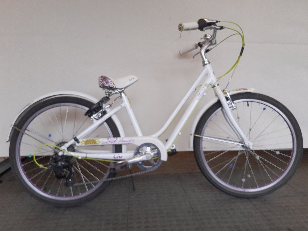 Diverse 24 inch meisjesfietsen: Cortina, Gazelle, Giant, enz, Ophalen, Terugtraprem, -, -