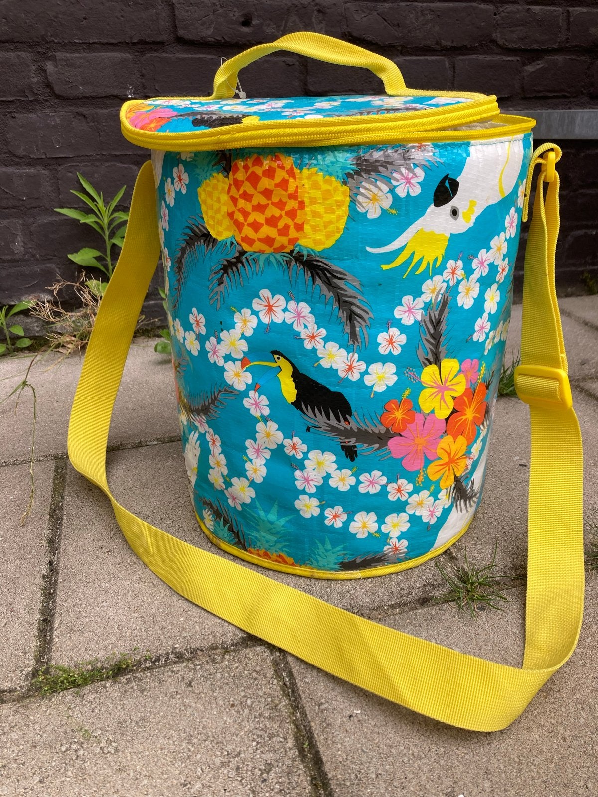 Koeltas met Schouderband - Ideaal voor Zomerse Dag, Ophalen of Verzenden, Zo goed als nieuw, Rugtas