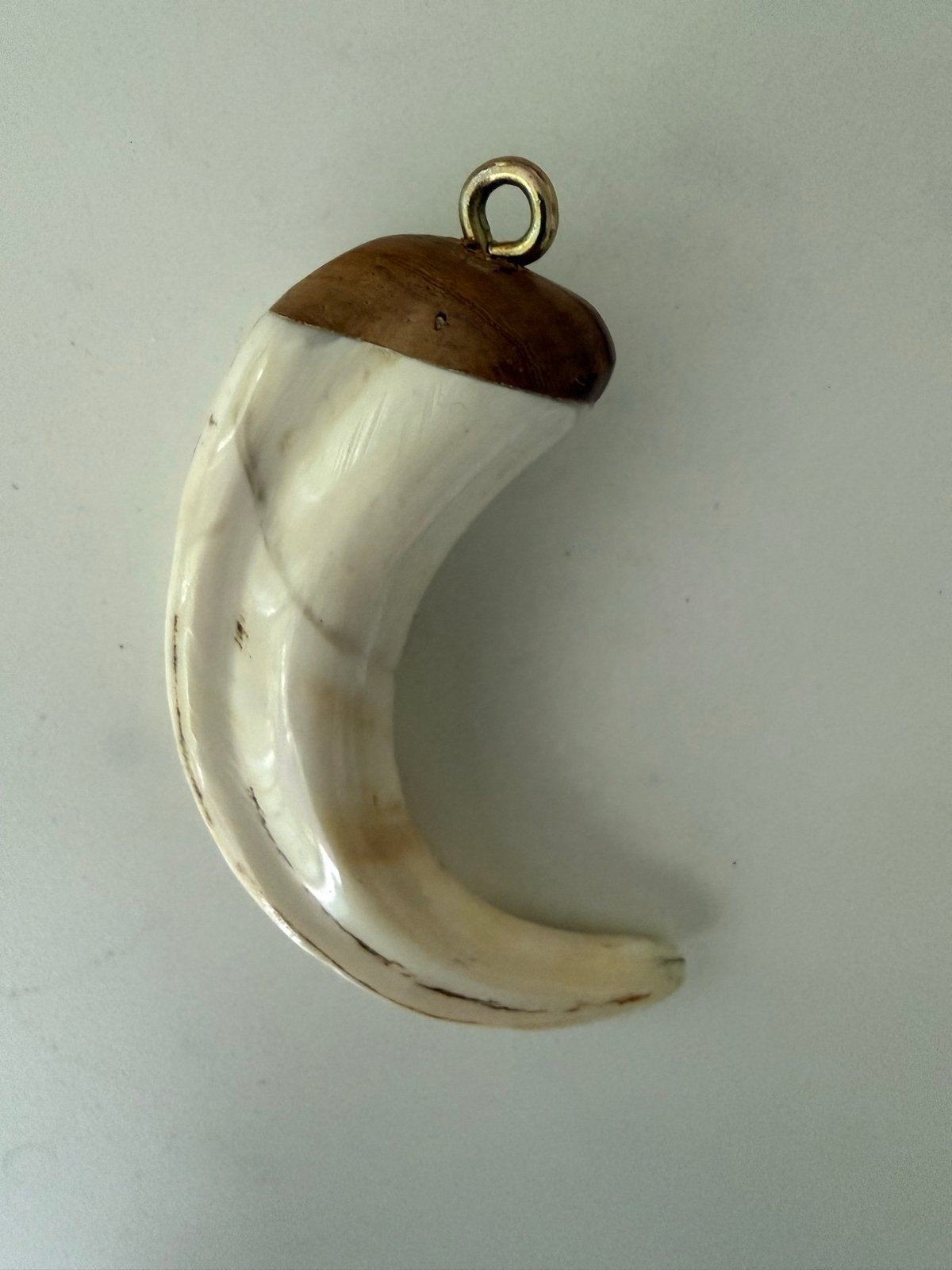 Afrikaanse hanger van een echte Wratten Zwijn slagtand, Verzenden, Gebruikt