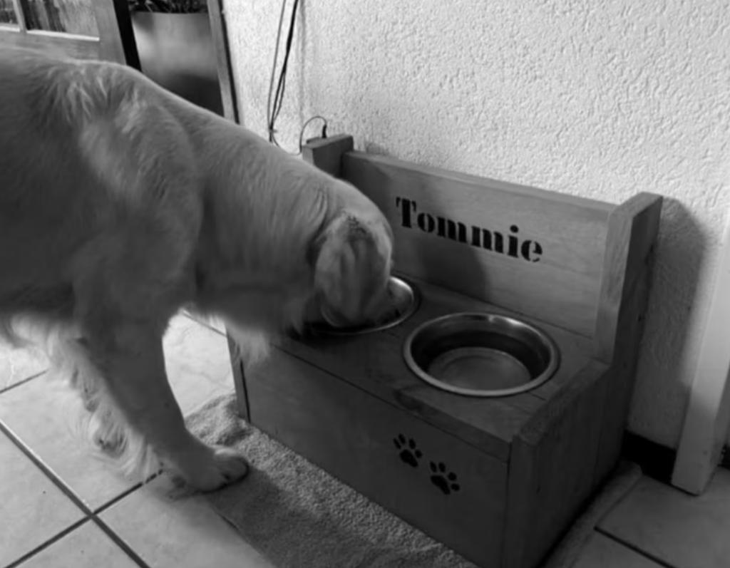 Hondenvoerbakken, steigerhout met GRATIS NAAM HOND!, Ophalen of Verzenden, Nieuw