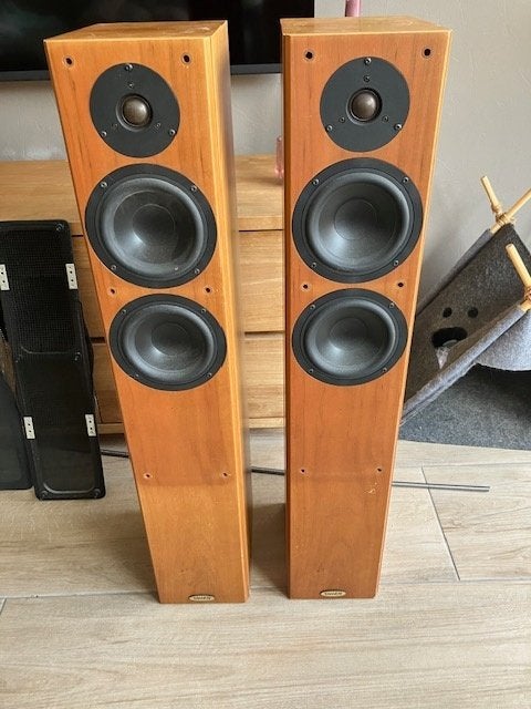 Tannoy Revolution R2 speakers + pioneer speakers, Vloerstaande luidspreker, Gebruikt, 60 tot 120 watt, Ophalen