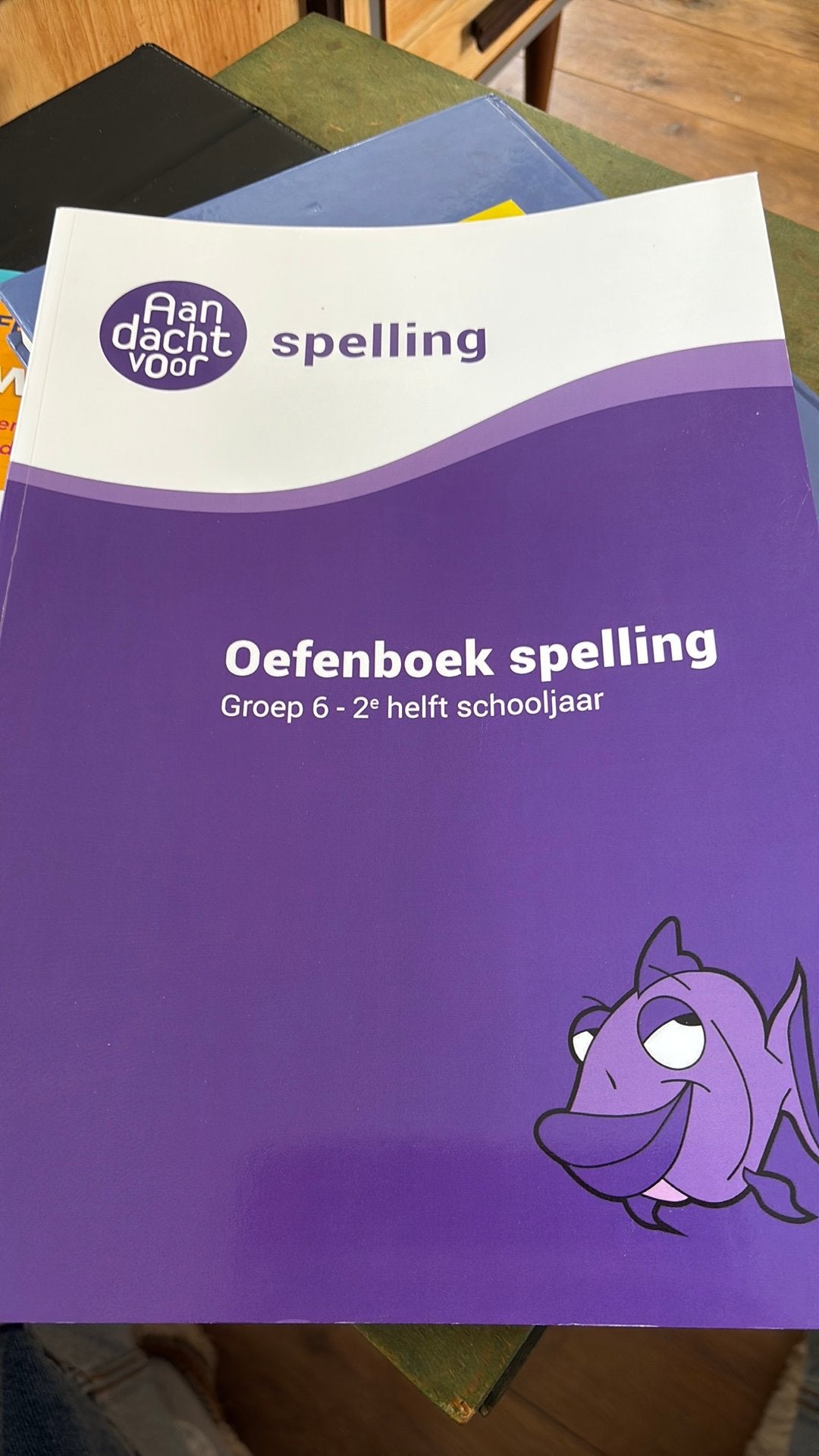 Oefenboek spelling 2e helft groep 6, Ophalen of Verzenden, Zo goed als nieuw, Overige niveaus, Nederlands