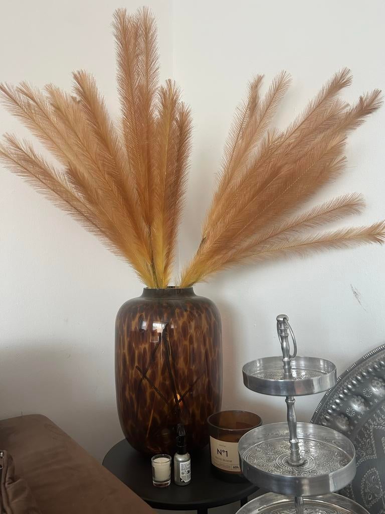 Grote vaas met pluimen - Decoratieve blikvanger, Huis en Inrichting, Woonaccessoires | Vazen, Overige materialen, Overige kleuren