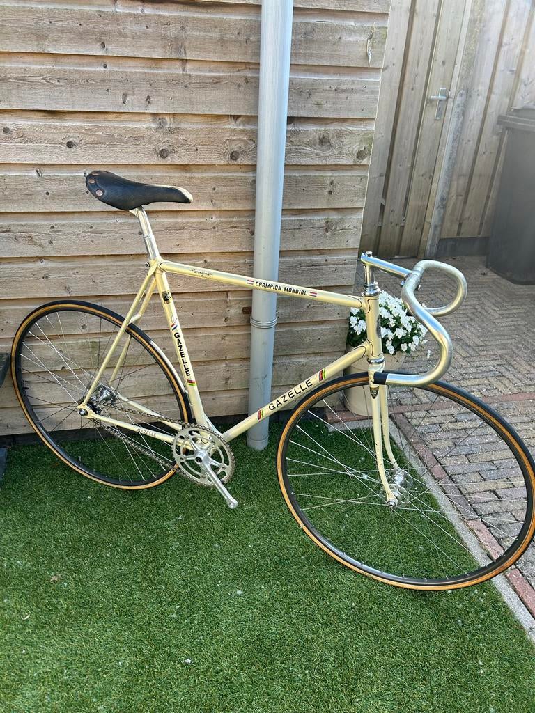 Gazelle Champion Mondial Pista - Campagnolo - 1973, Gebruikt, Staal, Ophalen of Verzenden, 57 tot 61 cm