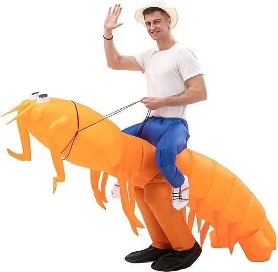 Livano Halloween / carnaval Outfit - Garnaal, Ophalen of Verzenden, Zo goed als nieuw, Overige maten, Carnaval
